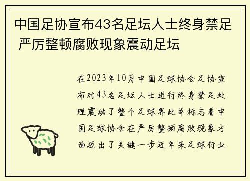 中国足协宣布43名足坛人士终身禁足 严厉整顿腐败现象震动足坛 中国足协宣布43名足坛人士终身禁足 严厉整顿腐败现象震动足坛