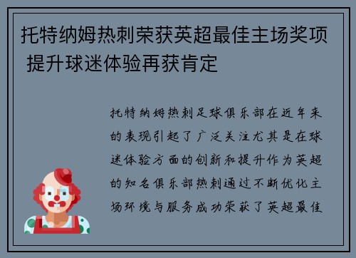 托特纳姆热刺荣获英超最佳主场奖项 提升球迷体验再获肯定